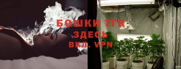 сатива Абинск