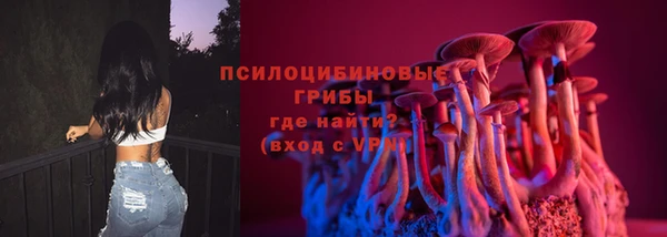сатива Абинск