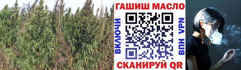 Дистиллят ТГК Wax Суздаль