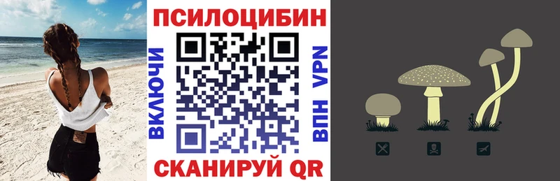 сколько стоит Суздаль Галлюциногенные грибы мухоморы
