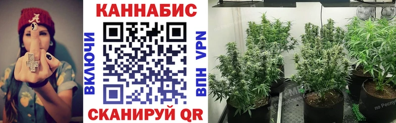 Бошки марихуана гибрид  Суздаль 